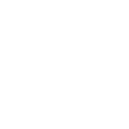 Philippine Association of Innovative Dentistry Inc. (PAIDI) — Philippine Institute of Digital Dentistry (PIDD)
